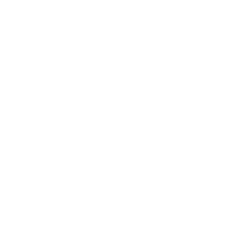 Georgia Bar Foundation logo