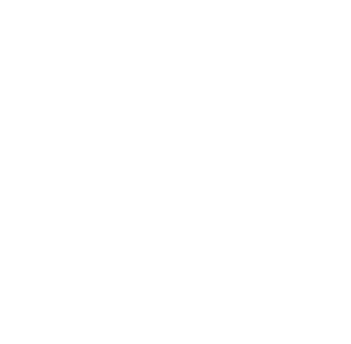 Georgia Bar Foundation logo in white with transparent background